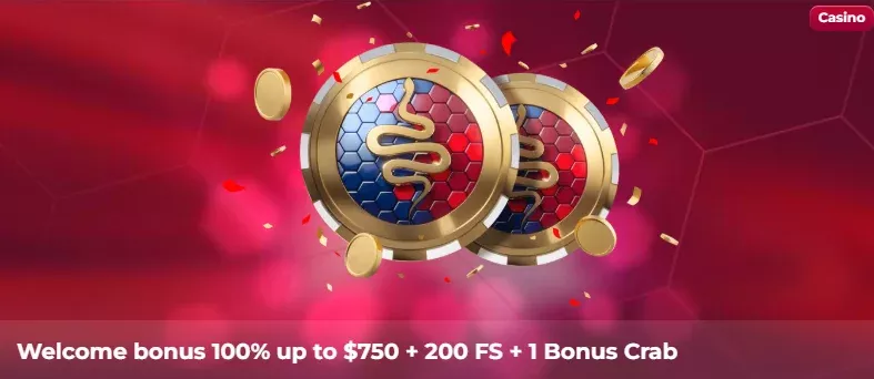 Viperwin Casino France 37